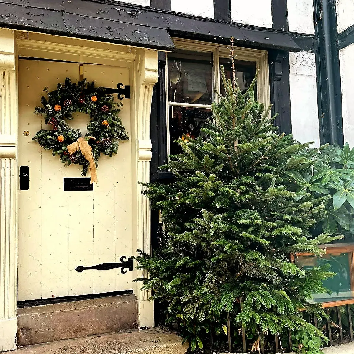 Bear Wreath Making 2026