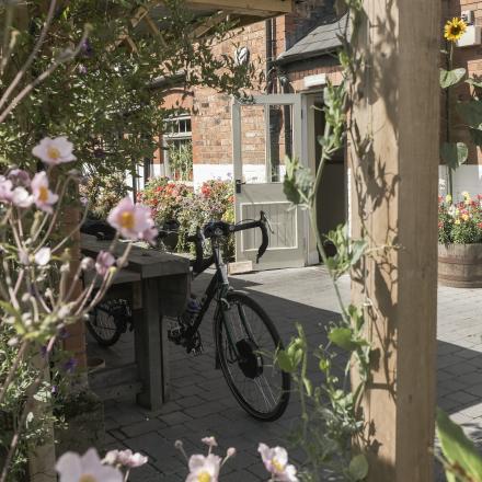 Courtyard Garden